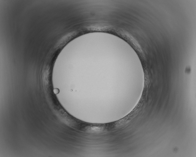 X0000116300163201001111125