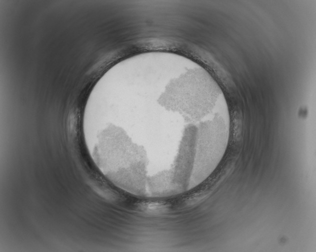 X0000116300165201001111125