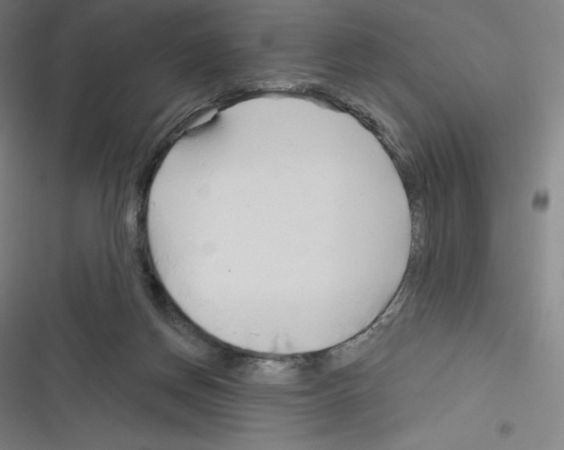 X0000116300166201001111125