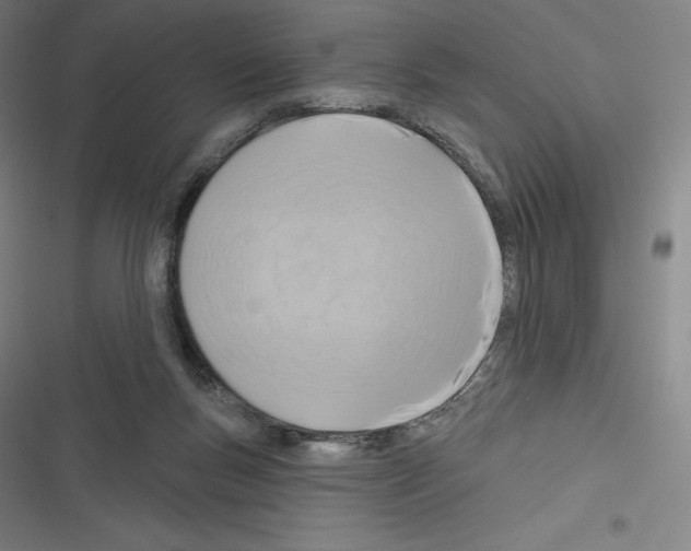 X0000116300167201001111125