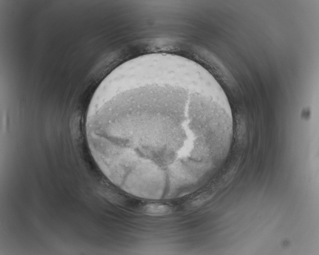 X0000116300169201001111125