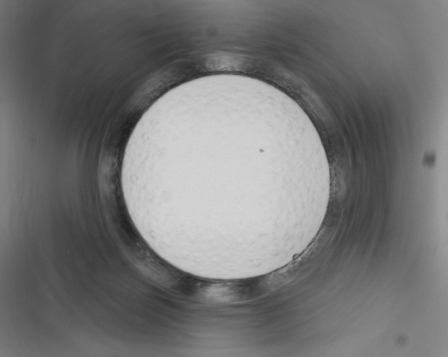 X0000116300171201001111125