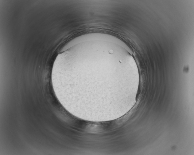 X0000116300174201001111125