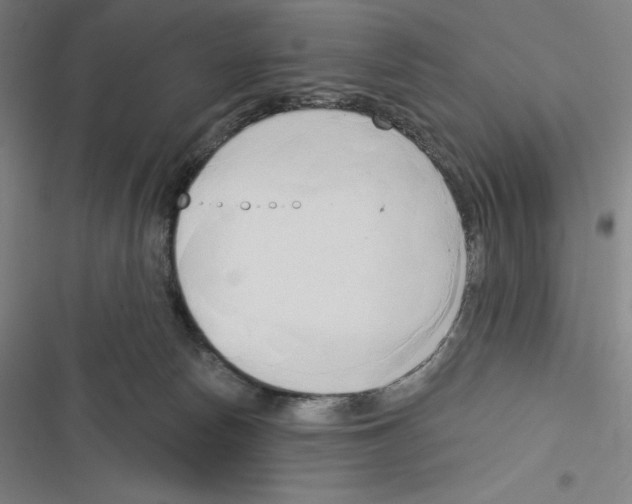 X0000116300178201001111125