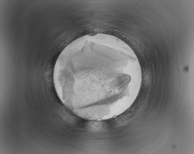 X0000116300181201001111125