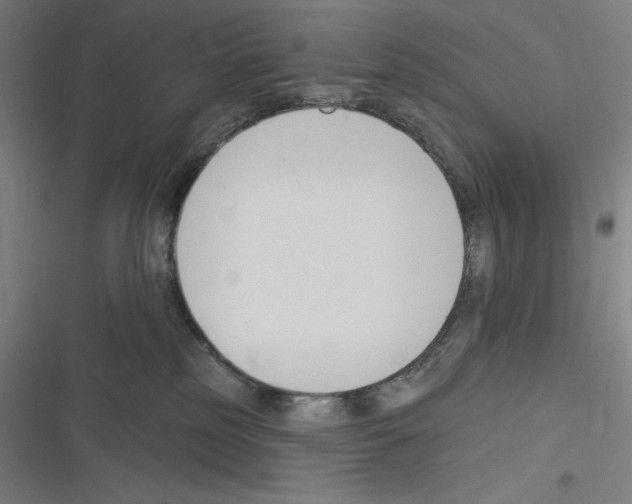 X0000116300185201001111125