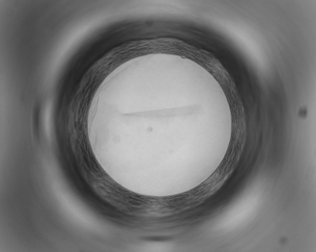 X0000116300189201001111125