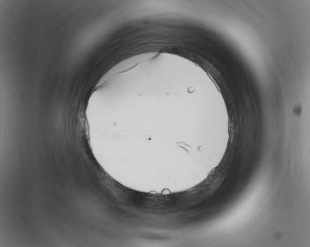 X0000116300190201001111125