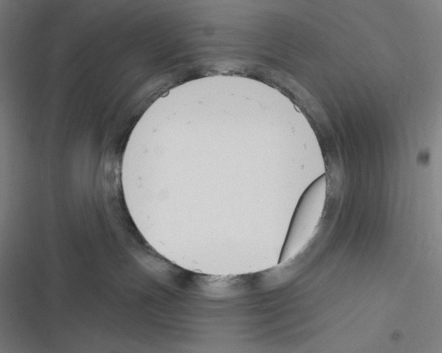 X0000116300191201001111125