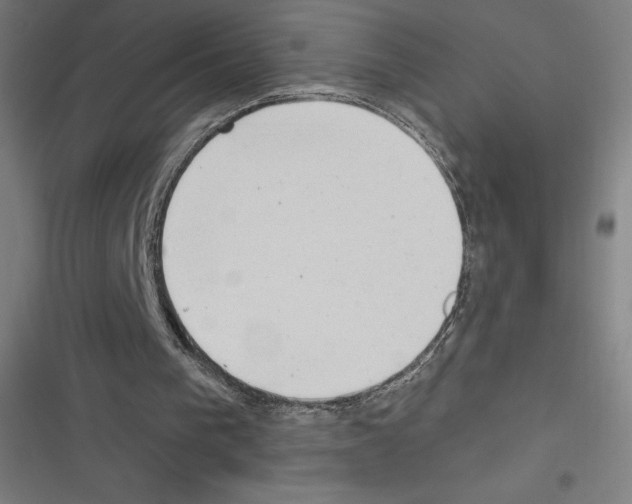 X0000116300193201001111124