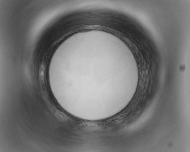 X0000116300194201001111124