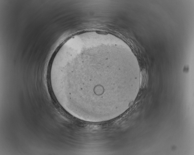 X0000116300195201001111124