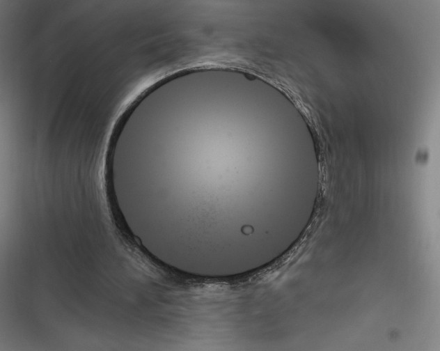 X0000116300196201001111124