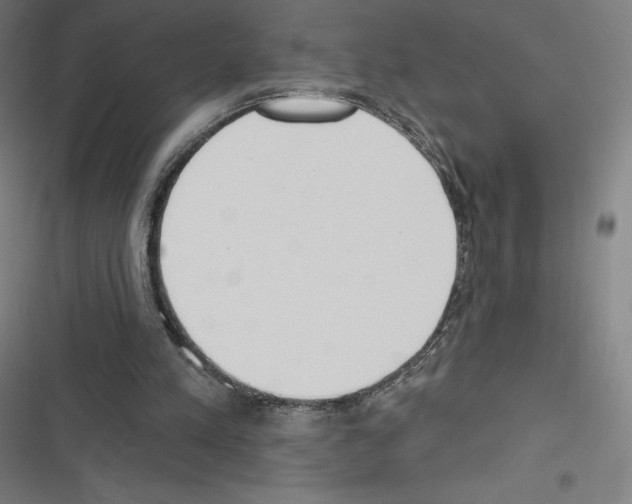 X0000116300197201001111124