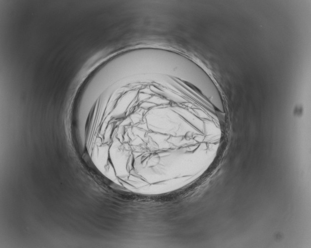 X0000116300199201001111124