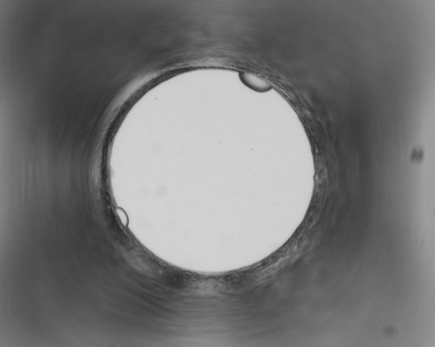 X0000116300200201001111124