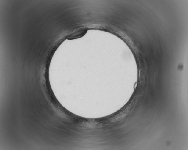 X0000116300201201001111124