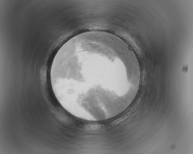 X0000116300202201001111124