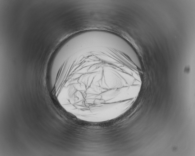 X0000116300203201001111124