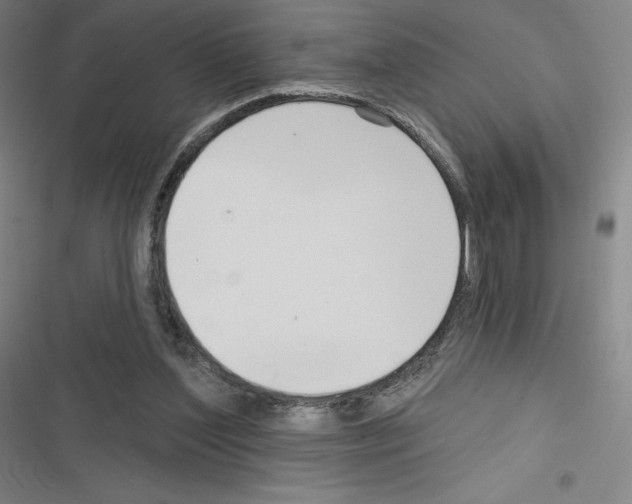 X0000116300204201001111124