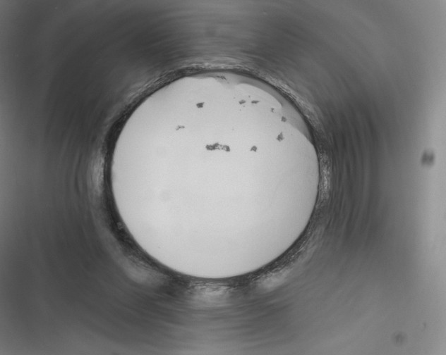 X0000116300206201001111124