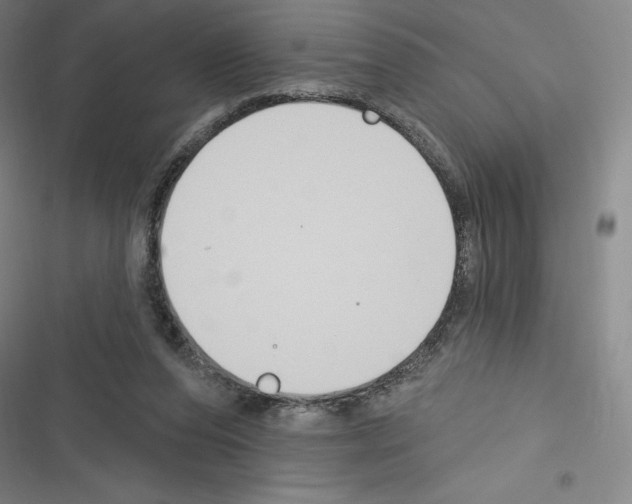 X0000116300208201001111124