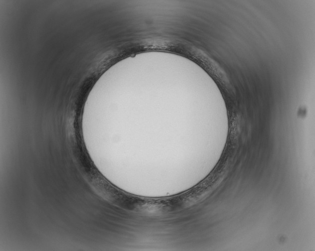 X0000116300209201001111124