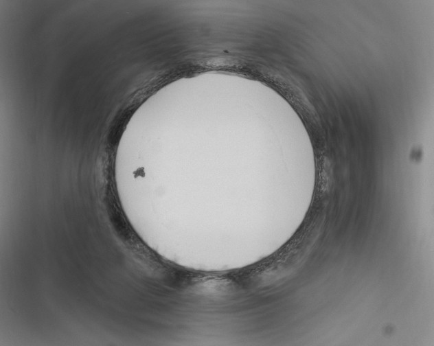 X0000116300210201001111124