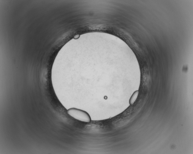 X0000116300211201001111124