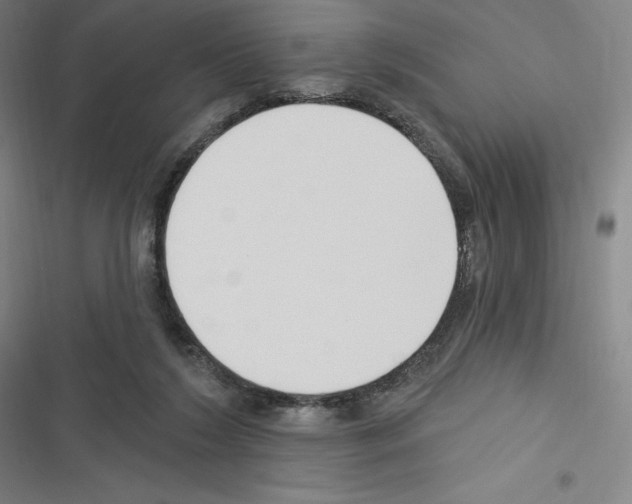 X0000116300212201001111124