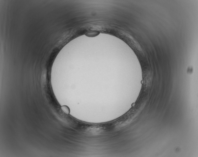 X0000116300213201001111124