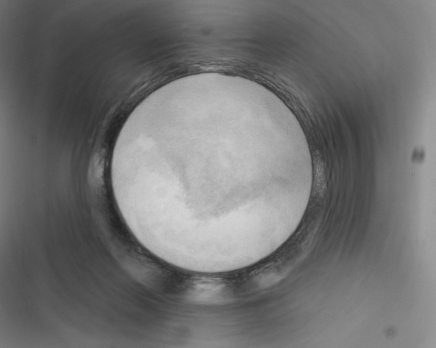 X0000116300214201001111124