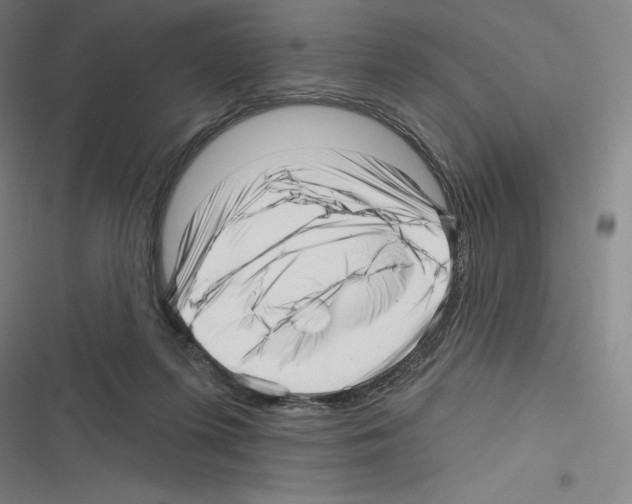 X0000116300215201001111124