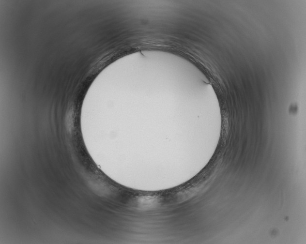 X0000116300216201001111124