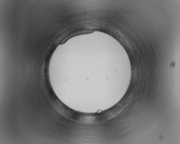 X0000116300217201001111124