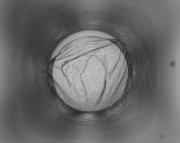 X0000116300219201001111124