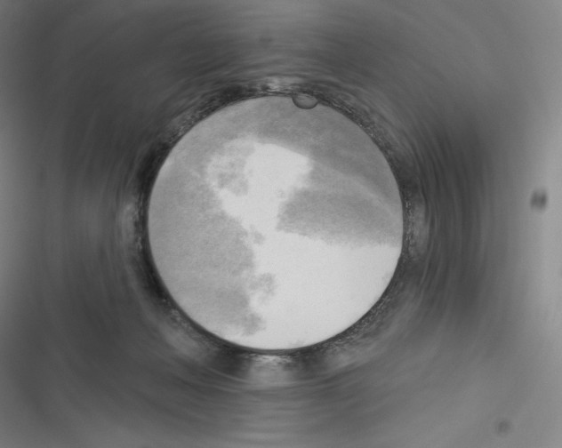 X0000116300222201001111124