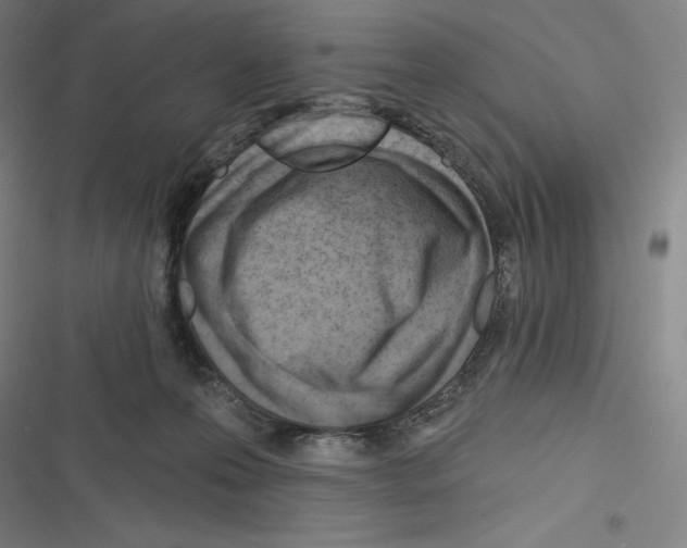 X0000116300223201001111124