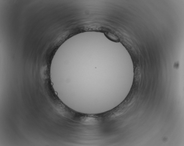 X0000116300224201001111124