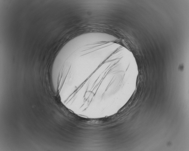 X0000116300225201001111124