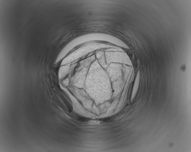 X0000116300227201001111124