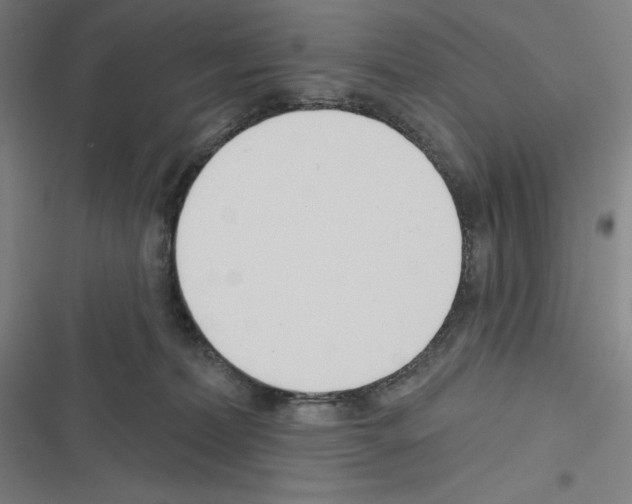 X0000116300228201001111124