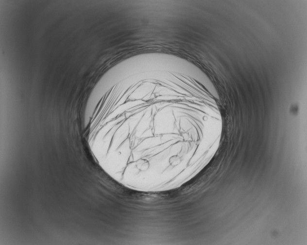 X0000116300229201001111124