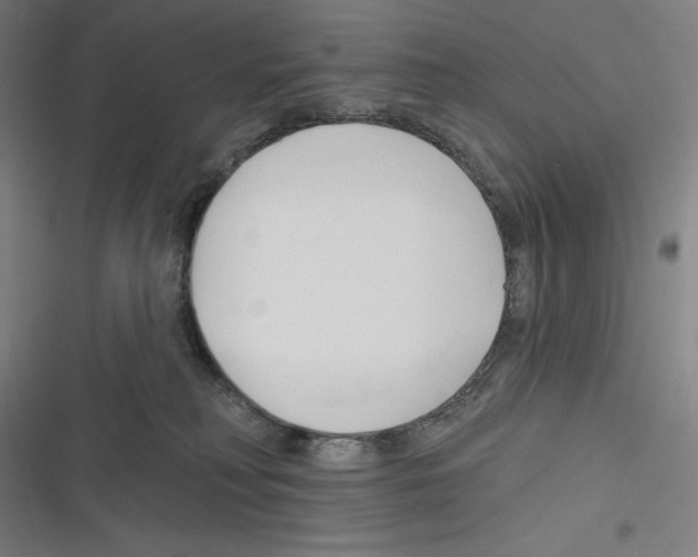 X0000116300230201001111124