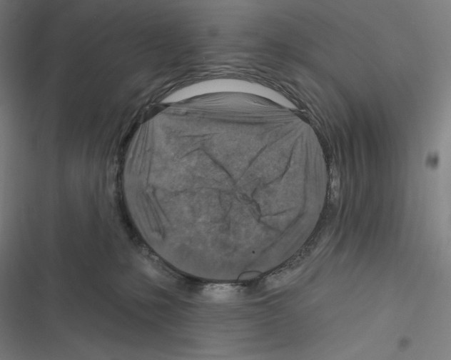 X0000116300231201001111124