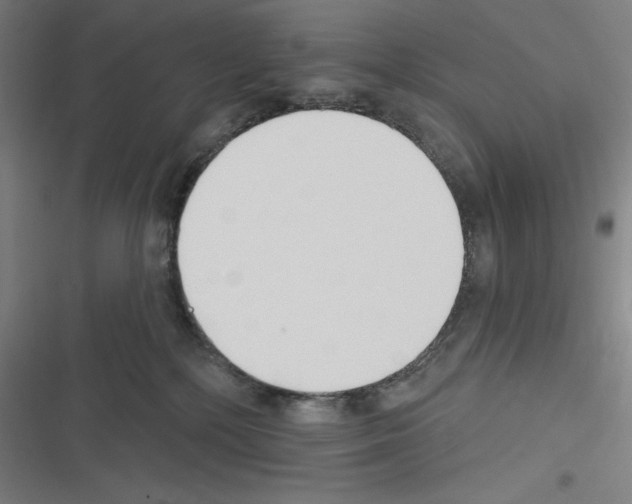 X0000116300232201001111124