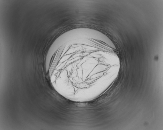 X0000116300233201001111124