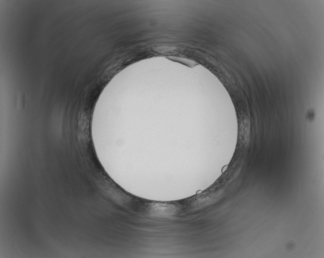 X0000116300234201001111124