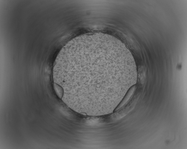 X0000116300235201001111124