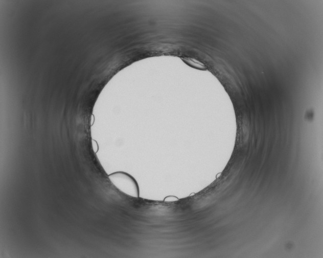 X0000116300236201001111124